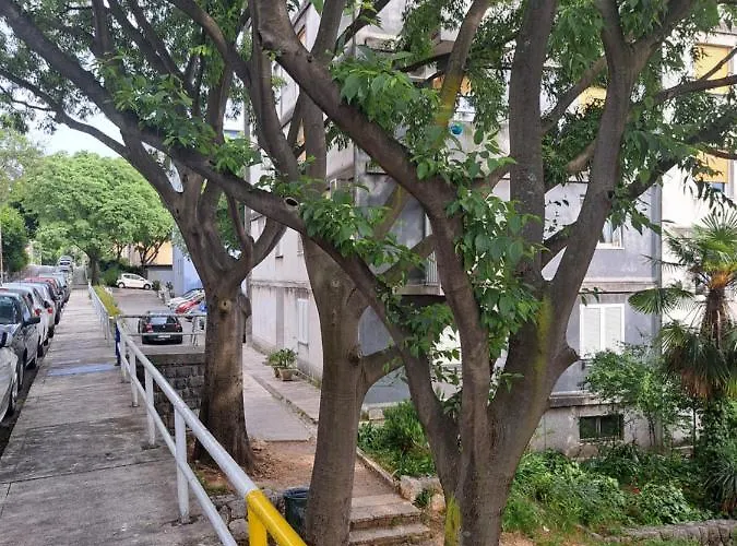 Belvia Apartamento